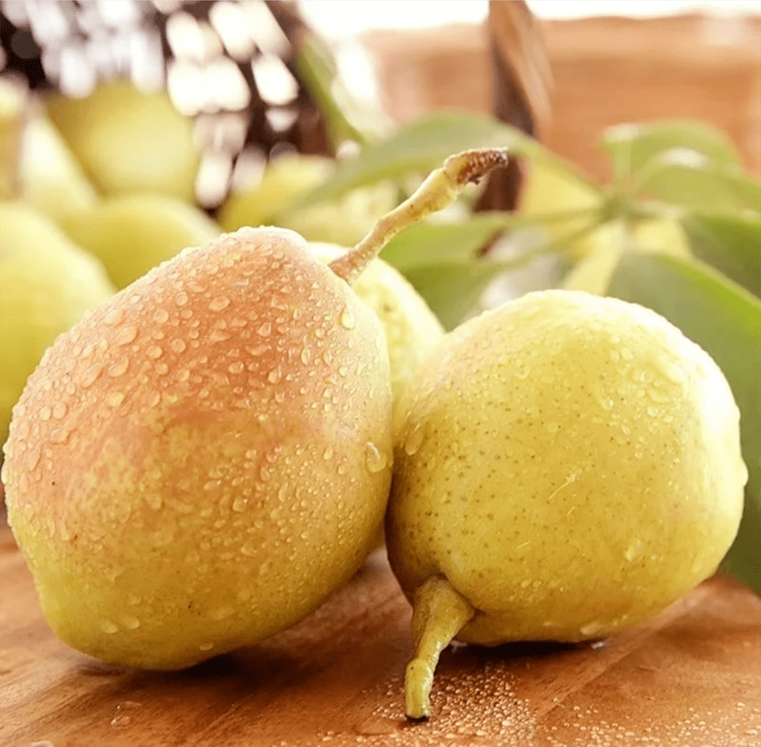 世界梨后新疆库尔勒香梨脆甜爆汁润燥去火