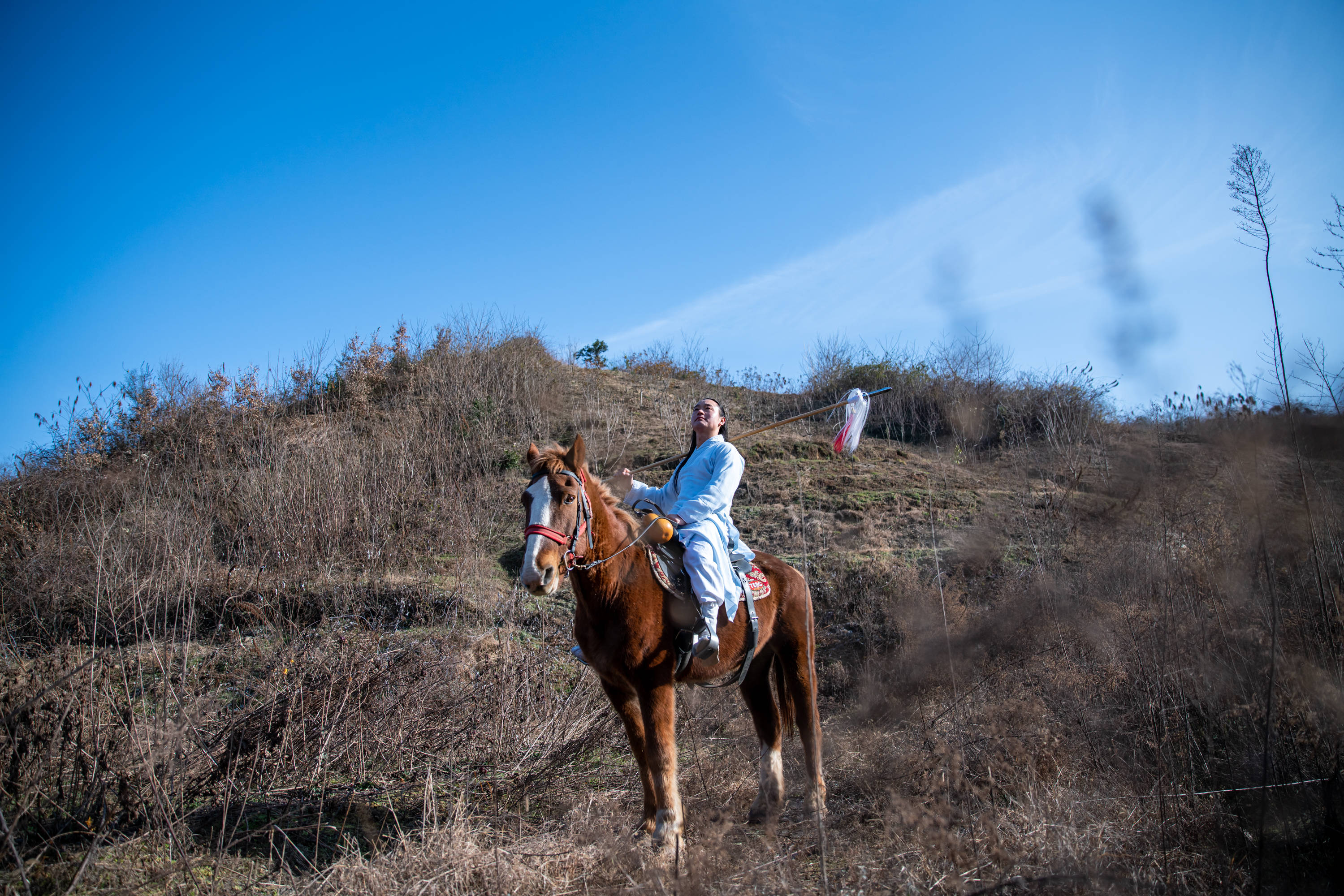 纵横千里,自由奔跑,在薄情的世界里深情地活着_心情