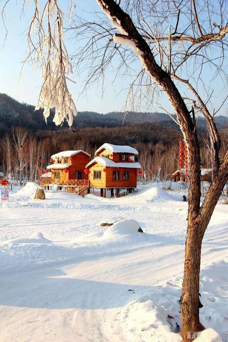 中国～伊春～冰湖雪村_手机搜狐网