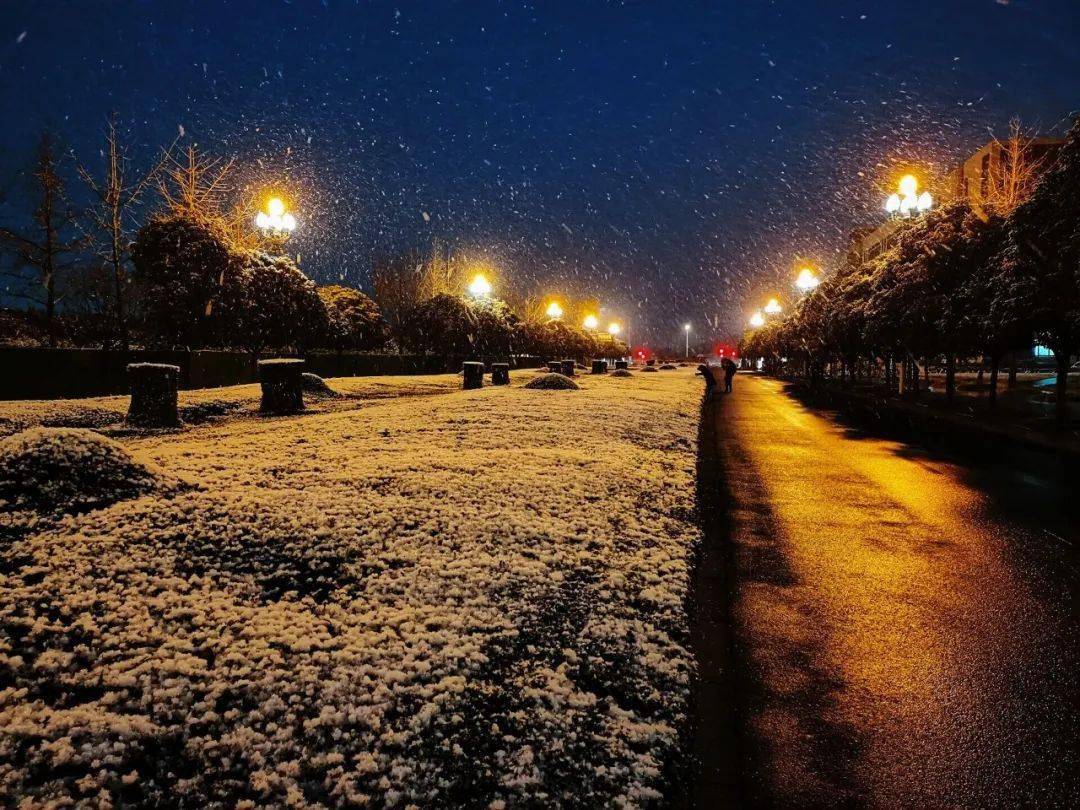 这是不一样的西华记忆这是寒冷的冬季灯下雪花飘扬伞上堆积雪厚雪后的