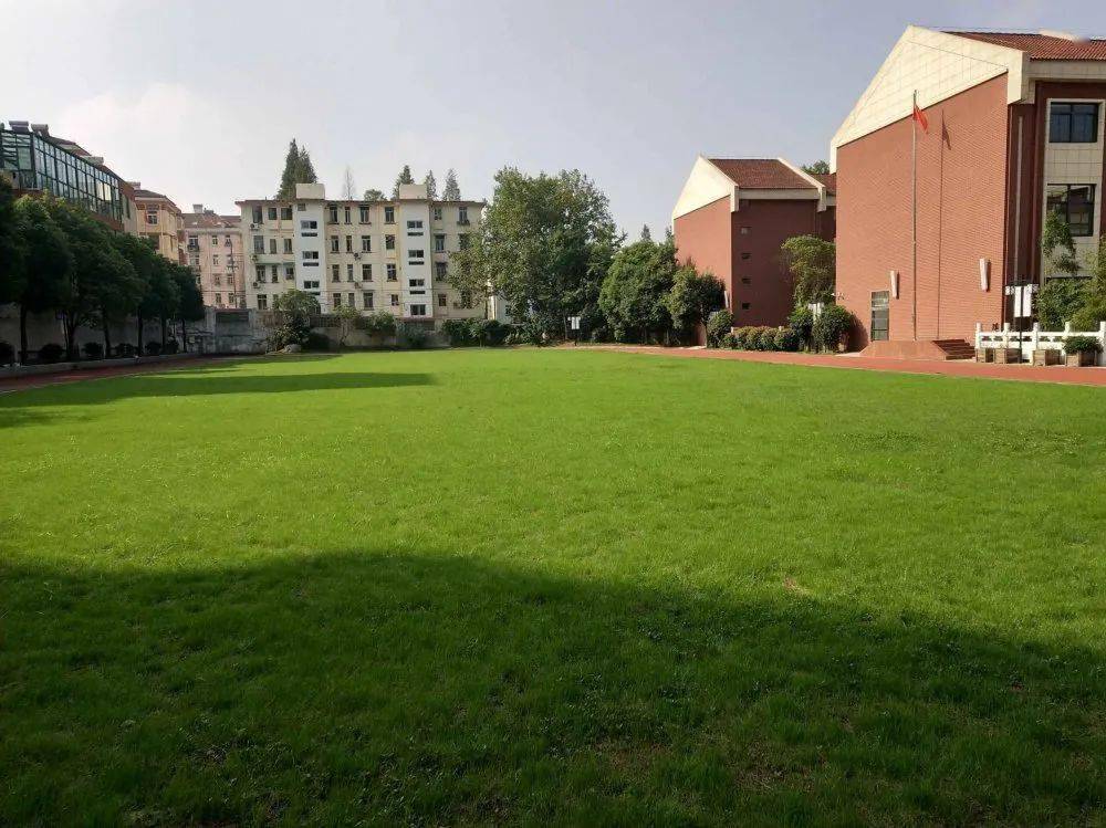 南京市中山小学十三五办学巡礼之五环境建设篇