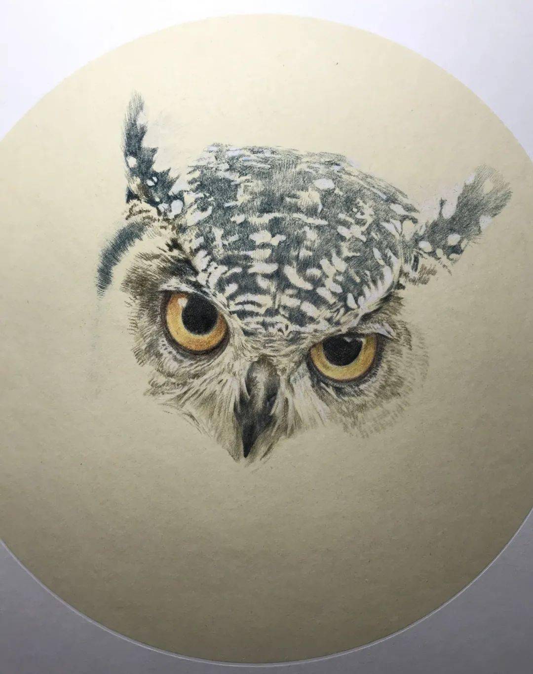 「原生连线2020」第5期 || 王昱珩:把美的瞬间变为永恒_造景