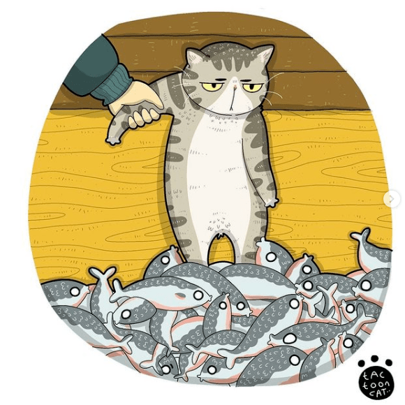 他靠画猫片吸粉12万猫咪已写入暗杀名单