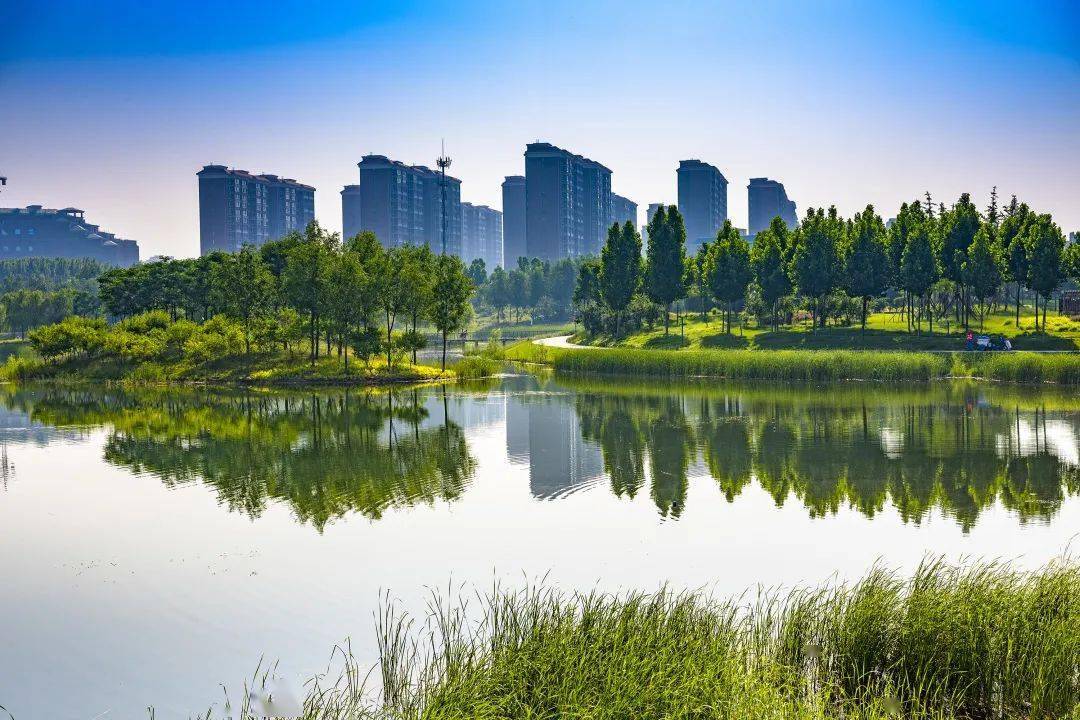 如意郑东 金融新城_东新区