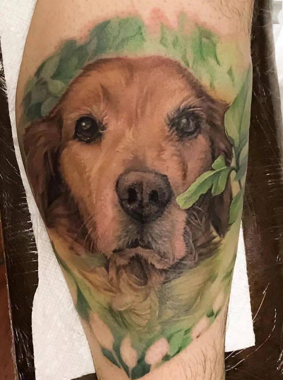 温顺的好朋友"金毛"犬纹身