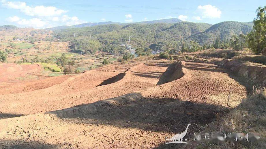 今年,禄丰县农村土地整治暨提质改造项目,共涉及金山,和平,仁兴,勤丰