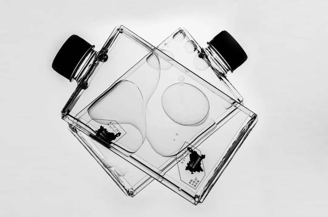 几款值得细品的品牌及产品视觉