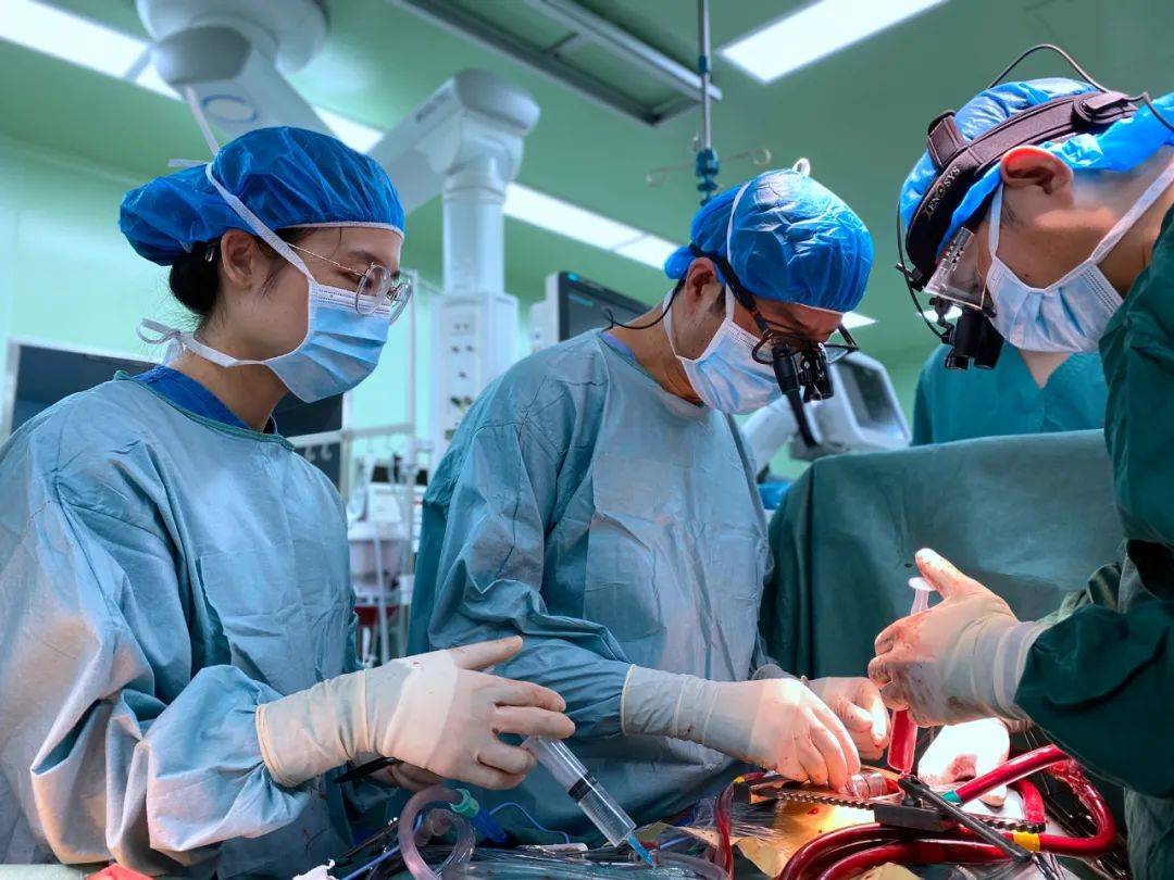 2021年首例心脏移植,21岁大三女学生成为第108例成功"换心人"_患者