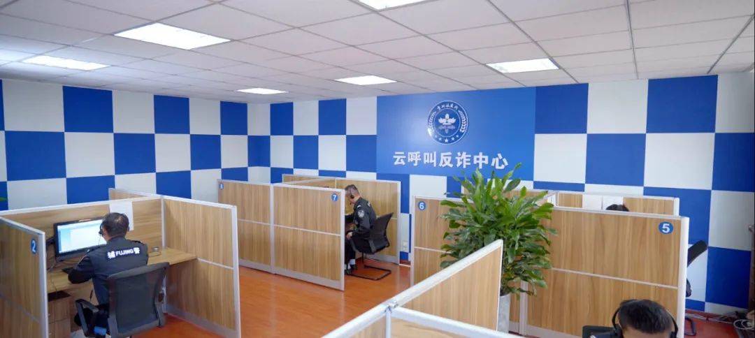 民生实事票决发案下降破案上升平湖晒出年度反诈成绩单