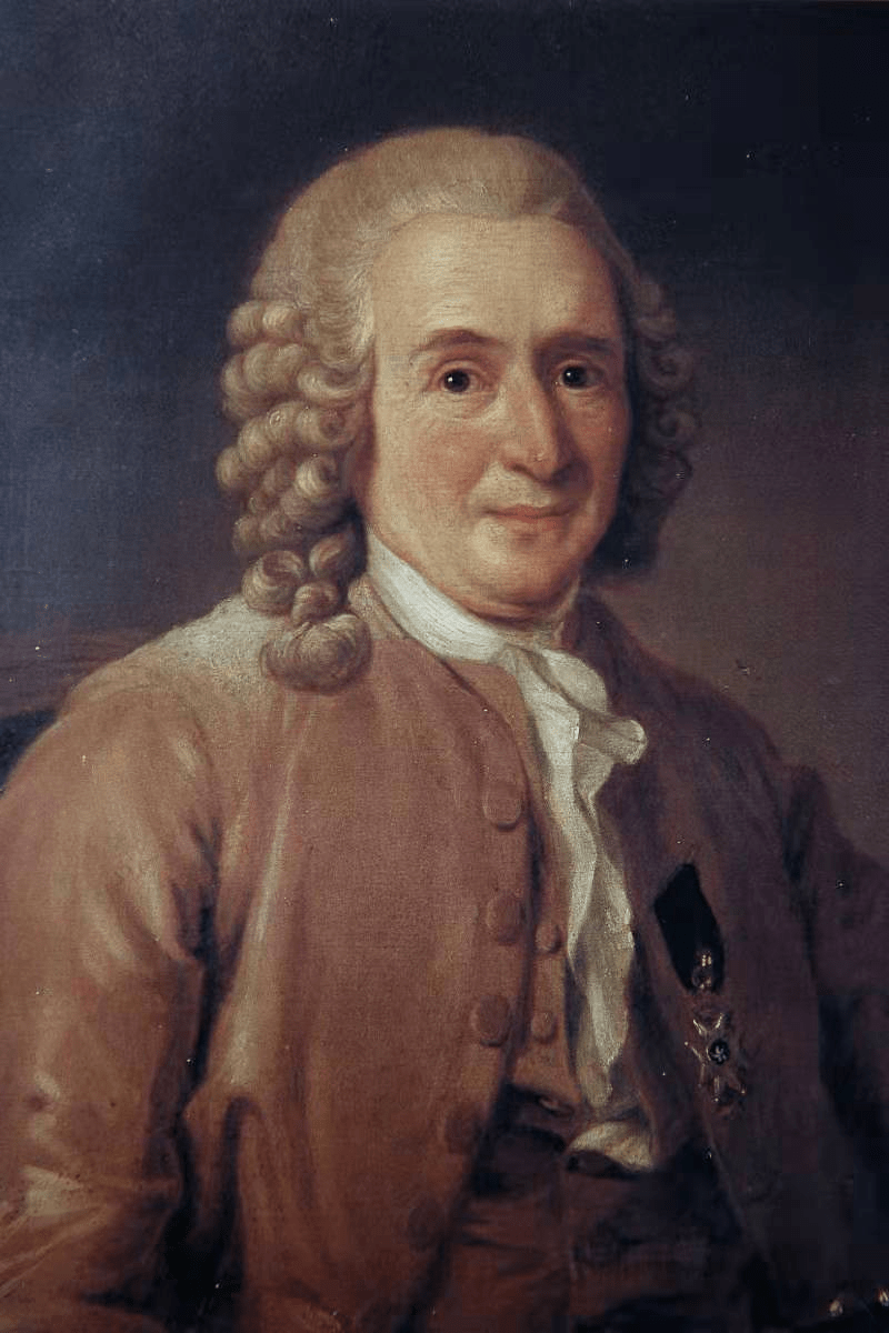 被盗走的中国茶改变世界的中国茶大展