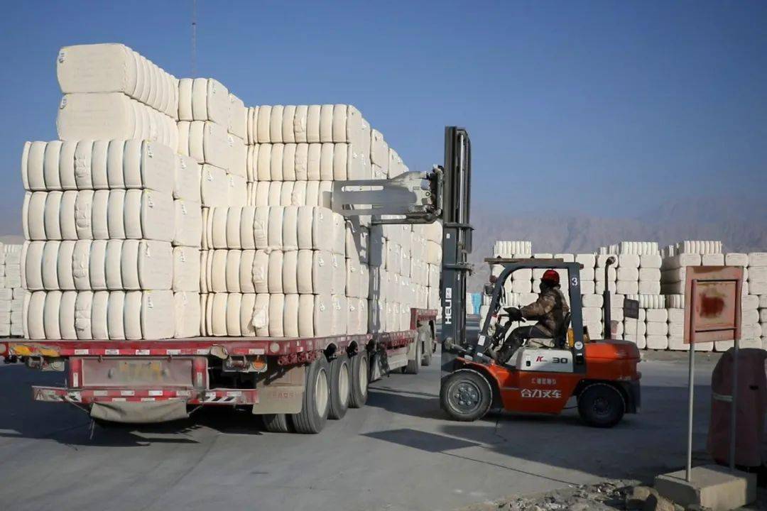 【冠农新闻】冠农汇锦物流棉花期货交割库展现新效能