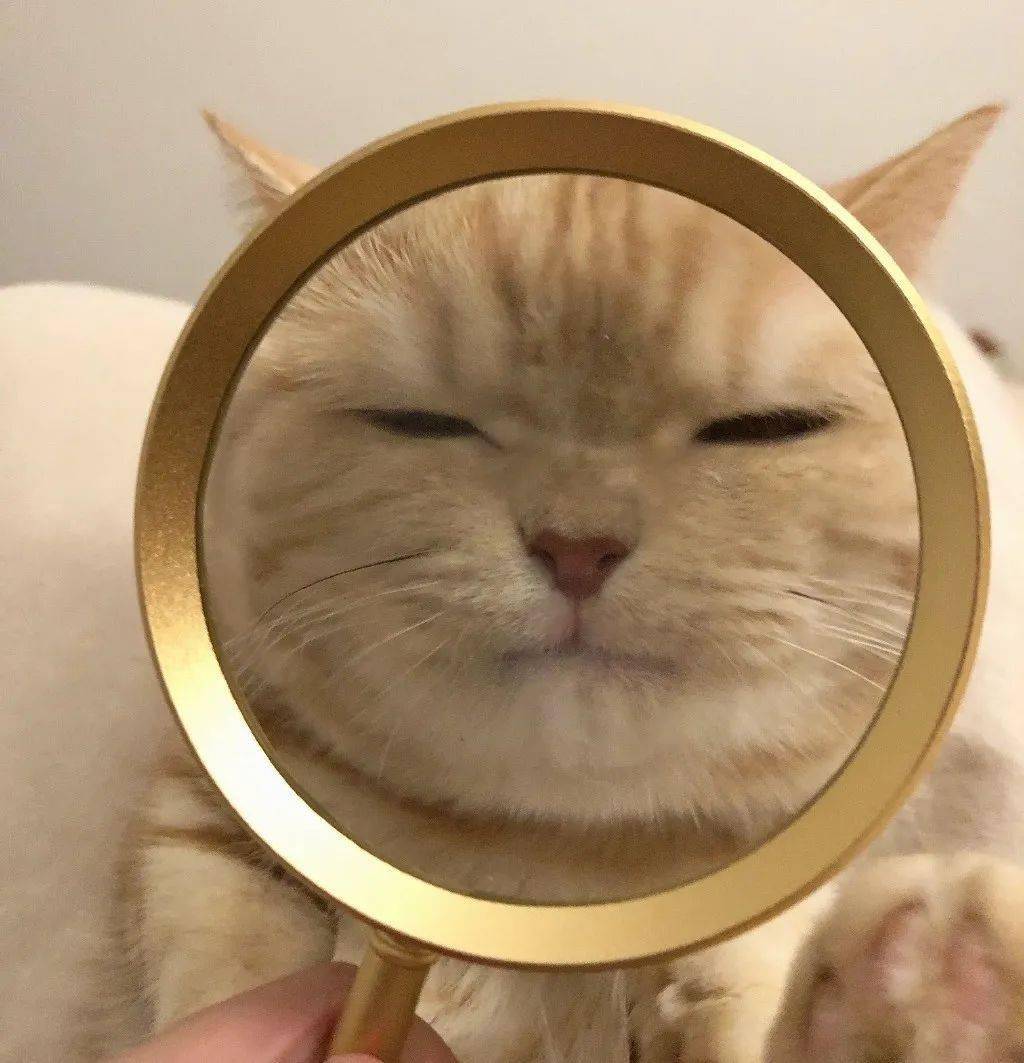 沙雕可爱の背景图 | 新鲜感过后的敷衍 简直恶意满满