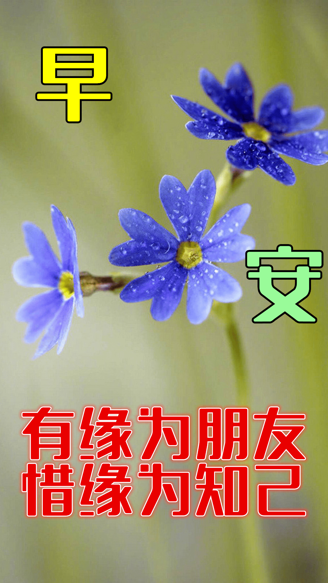 1月13日最漂亮早上好动态表情图片大全早晨好动图美图大全