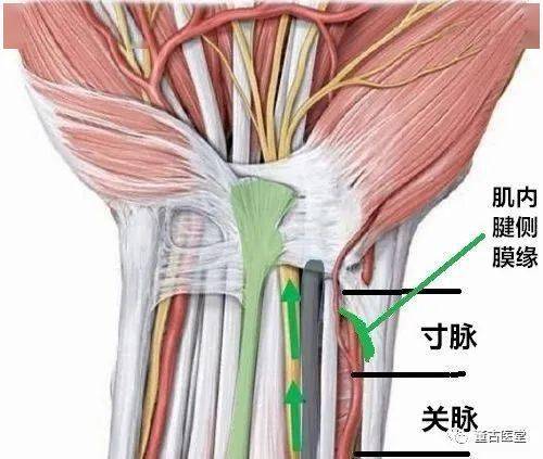 這樣就能確認是否是由關脈走上來的,就能確認是否是真正的寸脈