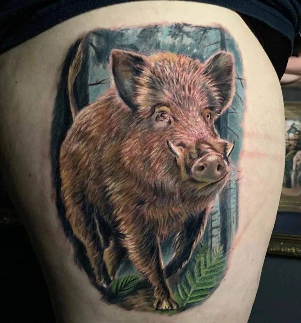 霸气野猪纹身图片