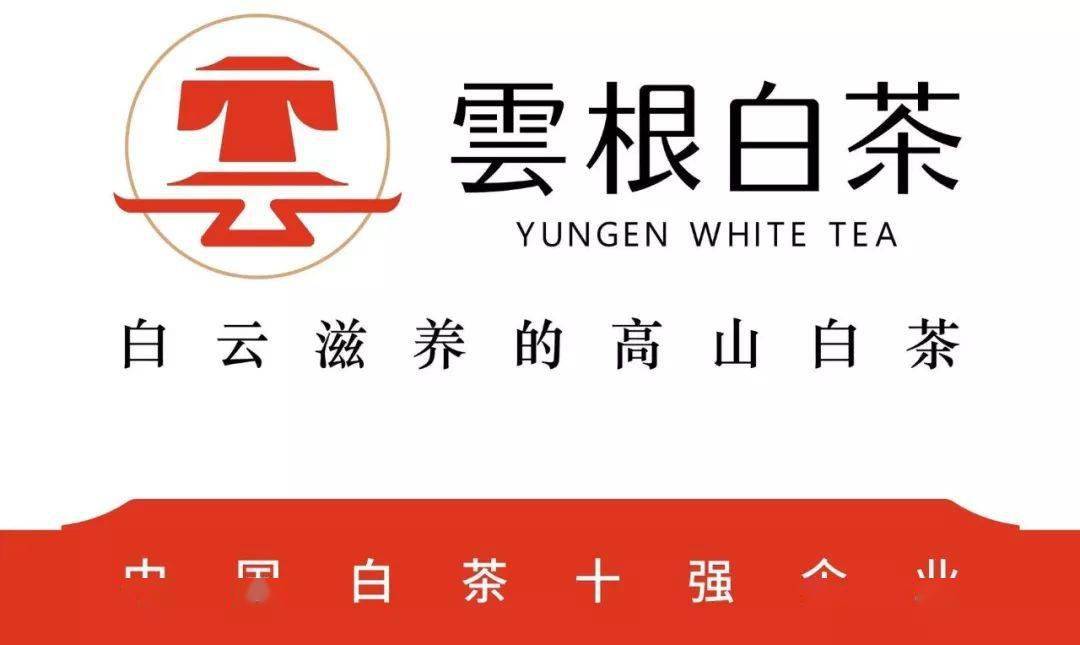 云根工作人员在准备大会推介用茶近年来,云根茶业结合政和白茶深厚的