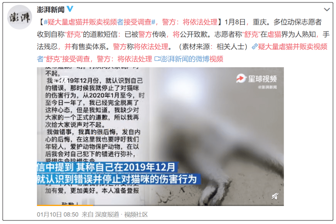重庆小动物保护协会:向全社会征集变态虐猫人舒克的虐猫及贩卖证据!