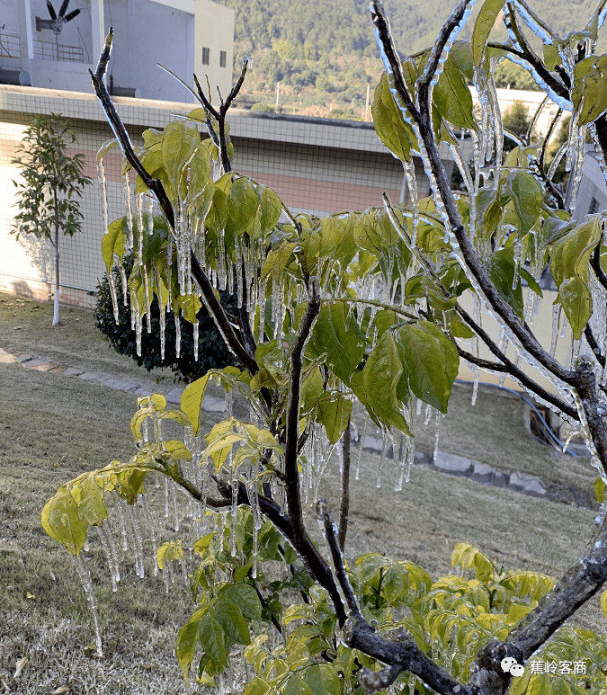 新铺的落霜大垦,你那里落了吗?