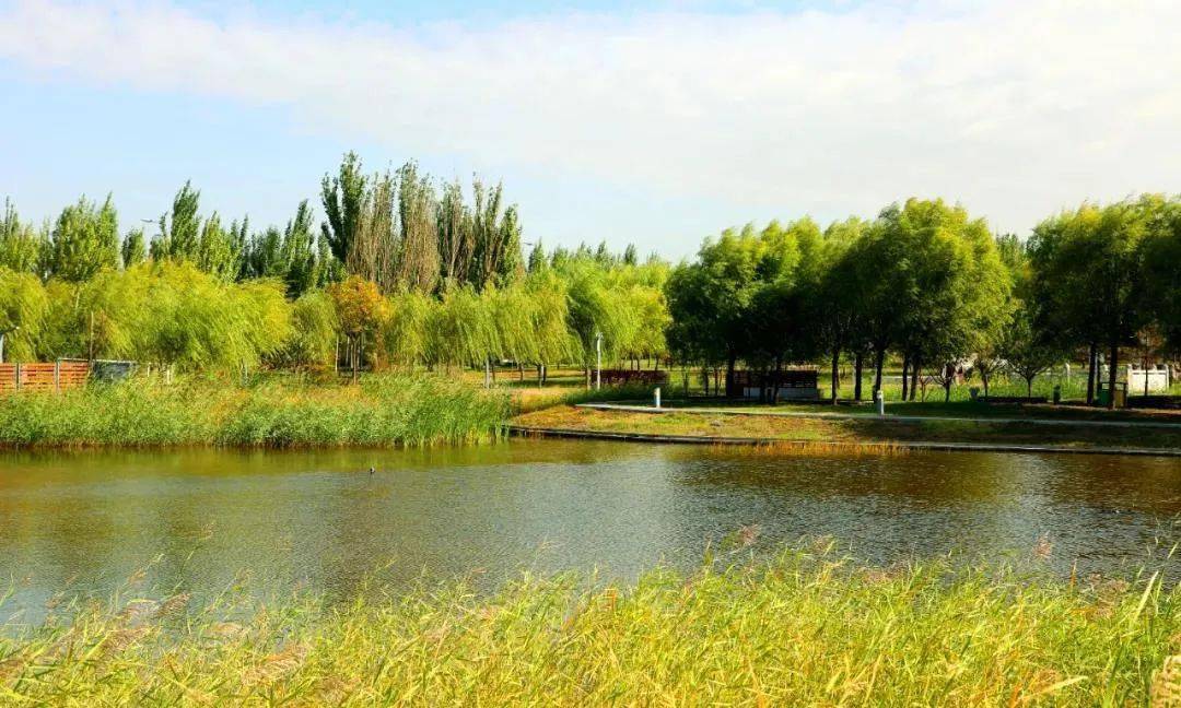 经济生活东河区环境治理增颜值美丽乡村入画来