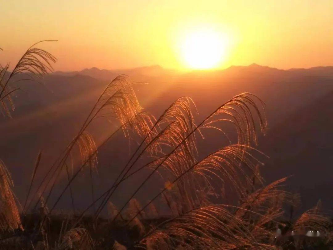 寸心點點向斜陽少年漫思學涯苦今朝遍山芒草黃昨夜滿地結草霜無物不成