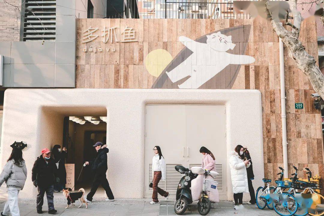 多抓鱼是一个没有货品的商店创始人猫助说