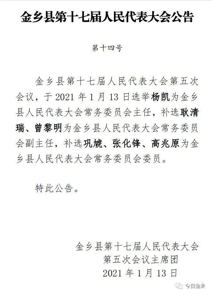 聚焦两会金乡县最新任命名单来了