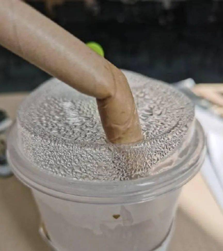 每根软掉的纸吸管背后都有一个硬起来的拳头