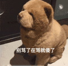 微信红包能撤回还能发微信绿包了