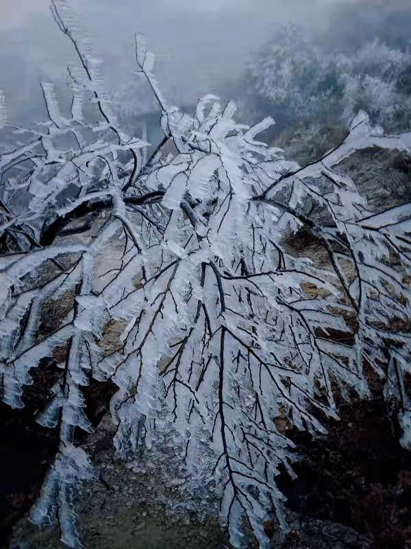 铜钹山雪景图片