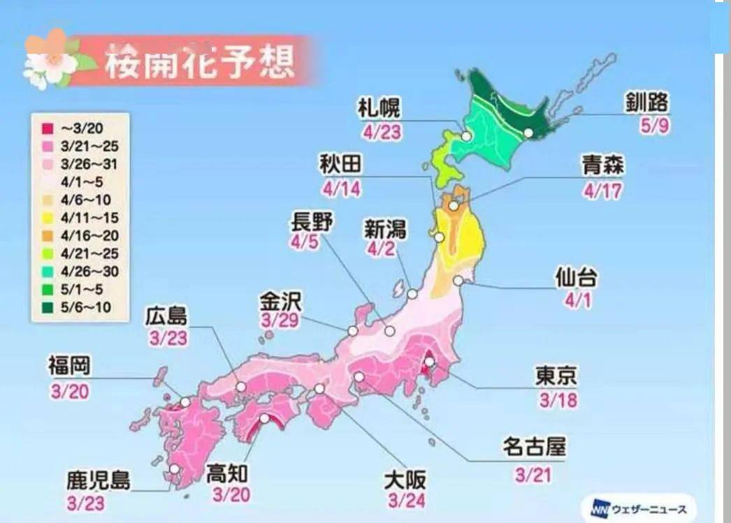 善遊美景2021年日本櫻花前線第一報