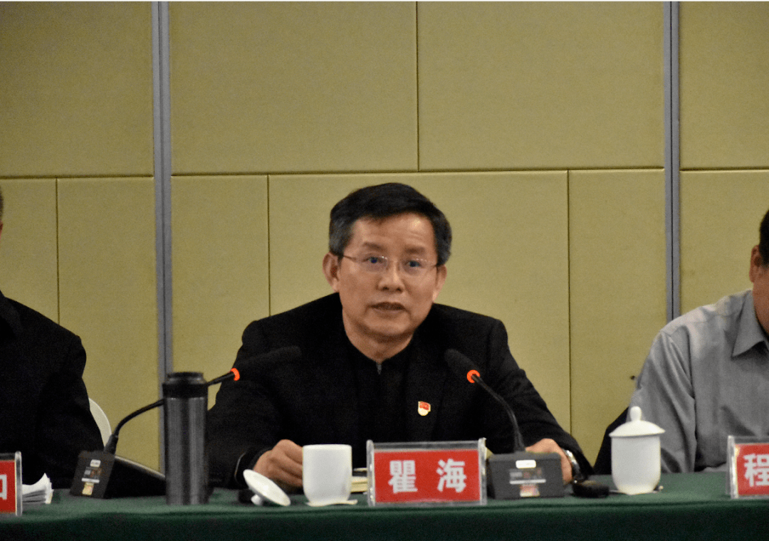贯彻新发展理念推动县域经济高质量发展——瞿海参加沅江市代表团集中讨论侧记_工作