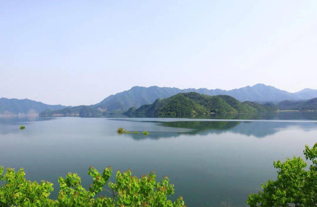鸟中国宝落户天溪湖 湿地公园等您来寻宝