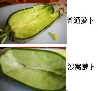 07c508aeaf6f40f1b96eb5d2b58007b5.jpeg
