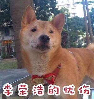 楊丞琳曬出一張照片引起全網爆笑：這是李榮浩的娃嗎？哈哈哈哈哈！ 萌趣萌寵 第17张