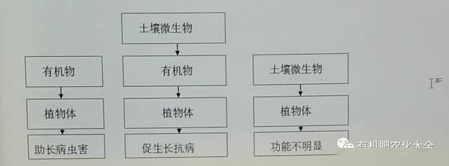 土壤微生物14大作用