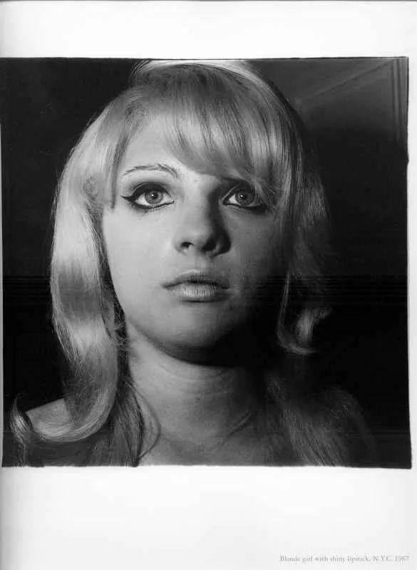 戴安阿勃丝dianearbus