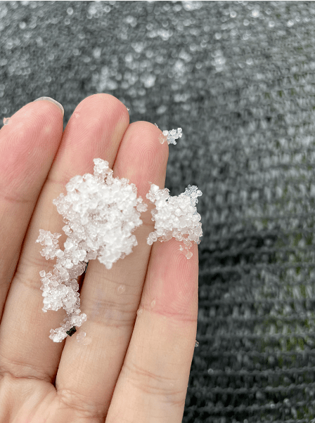 刚刚,城里飞雪了!米粒雪!