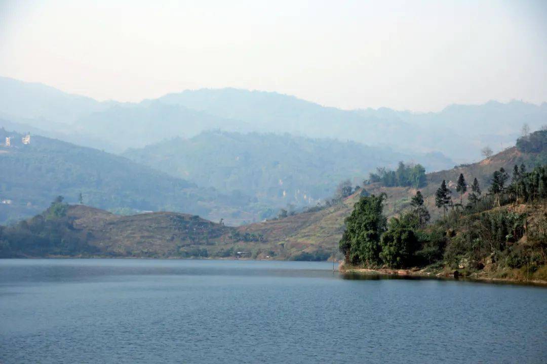 峨眉观音湖上演人蚁大战10岁蚁王蚁后被生擒