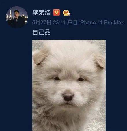 楊丞琳曬出一張照片引起全網爆笑：這是李榮浩的娃嗎？哈哈哈哈哈！ 萌趣萌寵 第14张