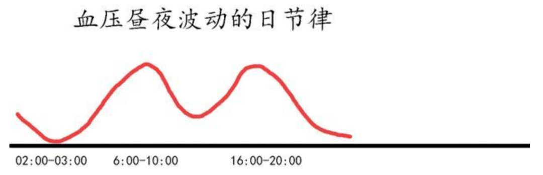 一日血压变化图图片