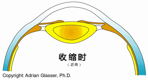 d57db2653c864387b66156451885f7b1.gif