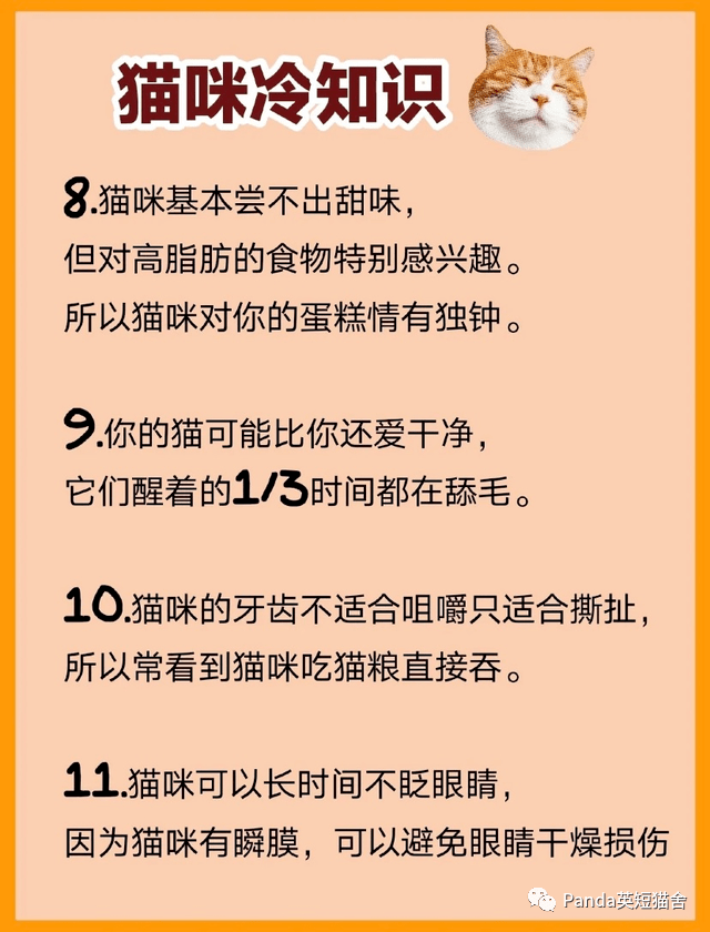 e528f18dcf2b45c6bb9e49e5db256bfe.png