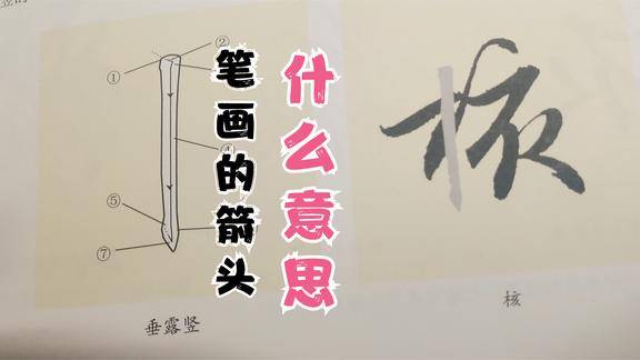 初学者学习笔画应该注意什么怎么看不懂字帖里对笔画的介绍