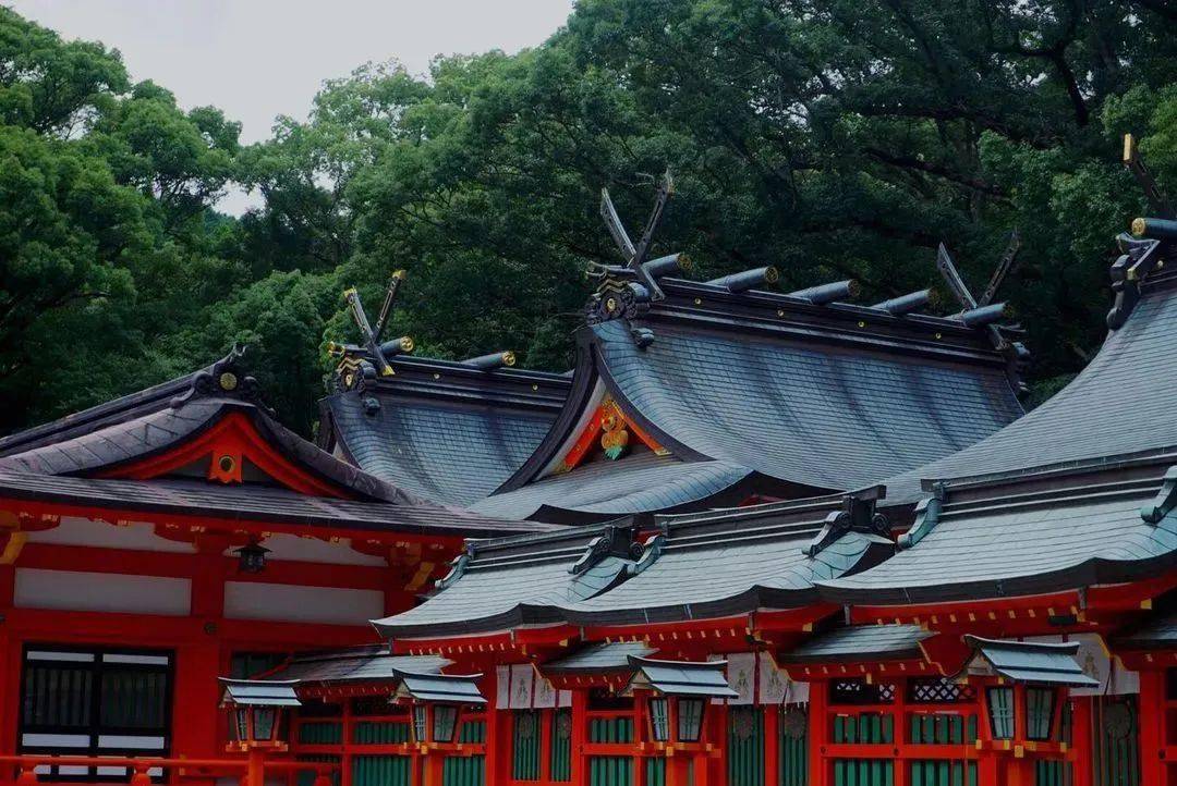 日本顏值最高的神社,都隱匿在自然之間