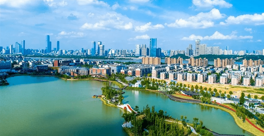 一把手畅谈"十四五"丨长沙市城市人居环境局局长周飞:落实"四精五有"