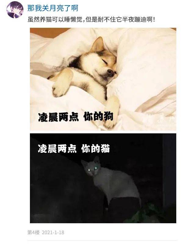 e59525da831a40638afa89ce4b698beb.jpeg