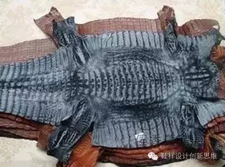 百科丨皮料分级与基本知识_真皮