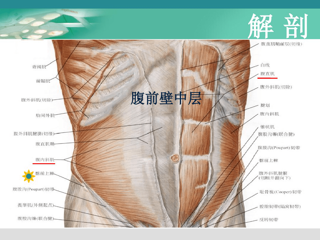 徐医附院麻醉科 