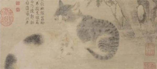 喵 十二生肖里为什么没有猫 十二地支 喵 十二生肖里为什么没有猫 十二地支