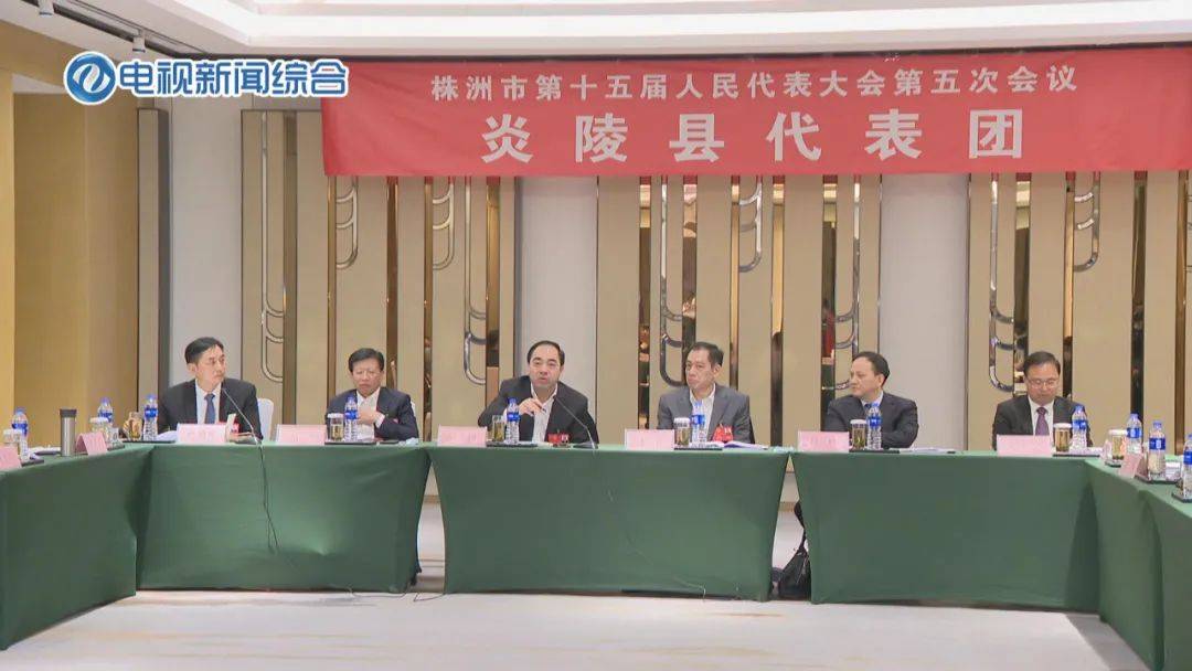 毛腾飞,阳卫国参加人大代表团审议